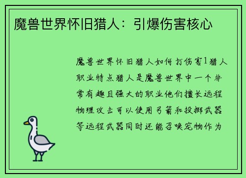 魔兽世界怀旧猎人：引爆伤害核心